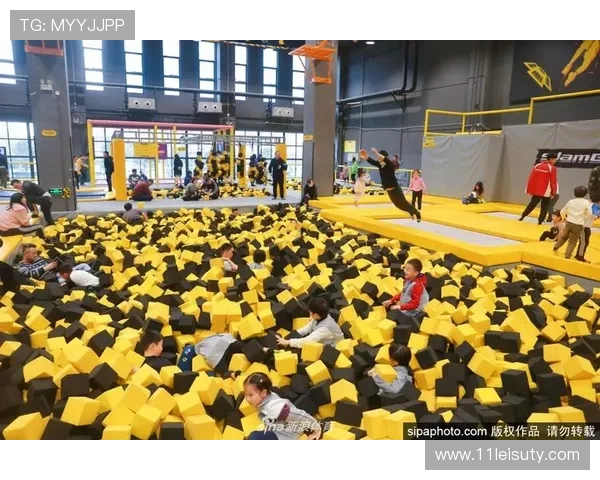 196体育网页版：体育娱乐的全新体验与乐趣